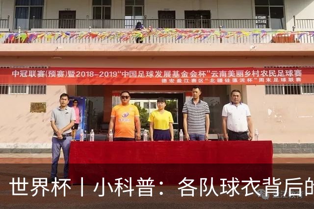 世界杯丨小科普：各队球衣背后的故事